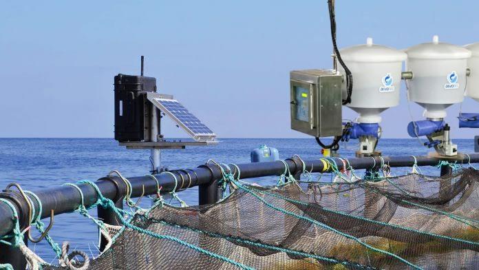 Capteurs AquaPilote installés sur des cages aquacoles avec panneau solaire